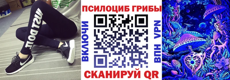 Галлюциногенные грибы MAGIC MUSHROOMS  сколько стоит  Сельцо 